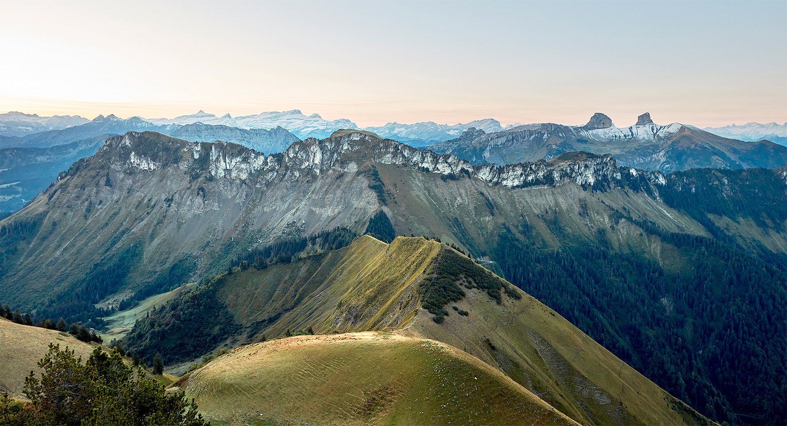 alpine-garden-suisse