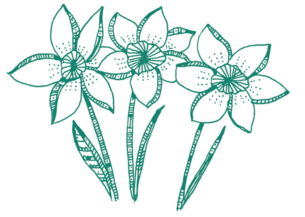 nature-suisse-produit-makeup-naturel